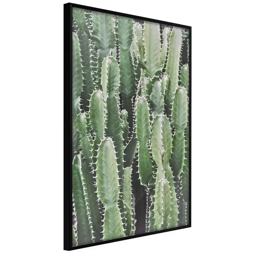 Poster Artgeist Affisch Cactus Garden