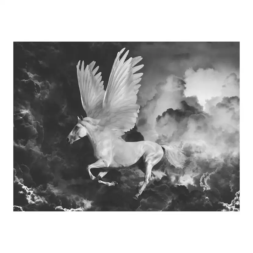 Fototapet Arkiio Pegasus På Väg Till Mount Olympus