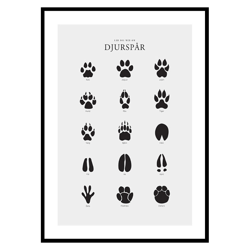 Poster Gallerix Djurspår