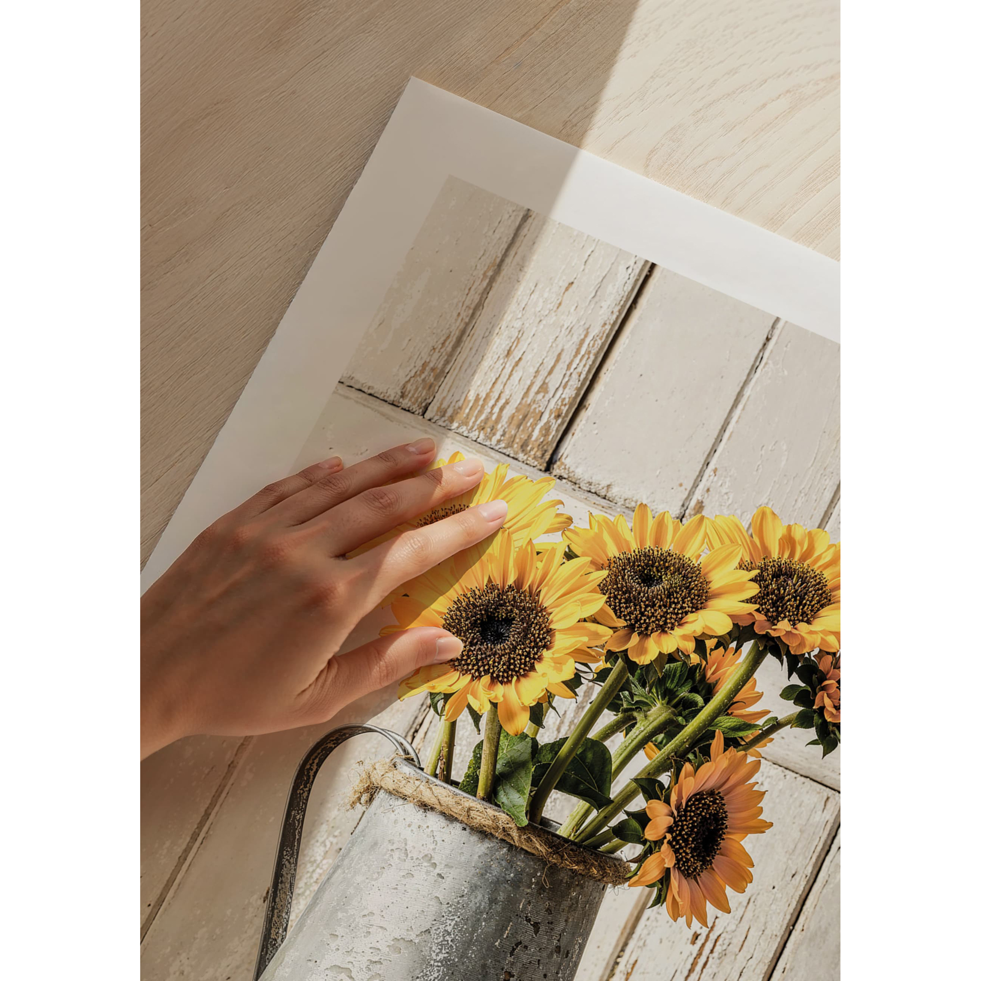 Poster Gallerix Rustic Sunflowers