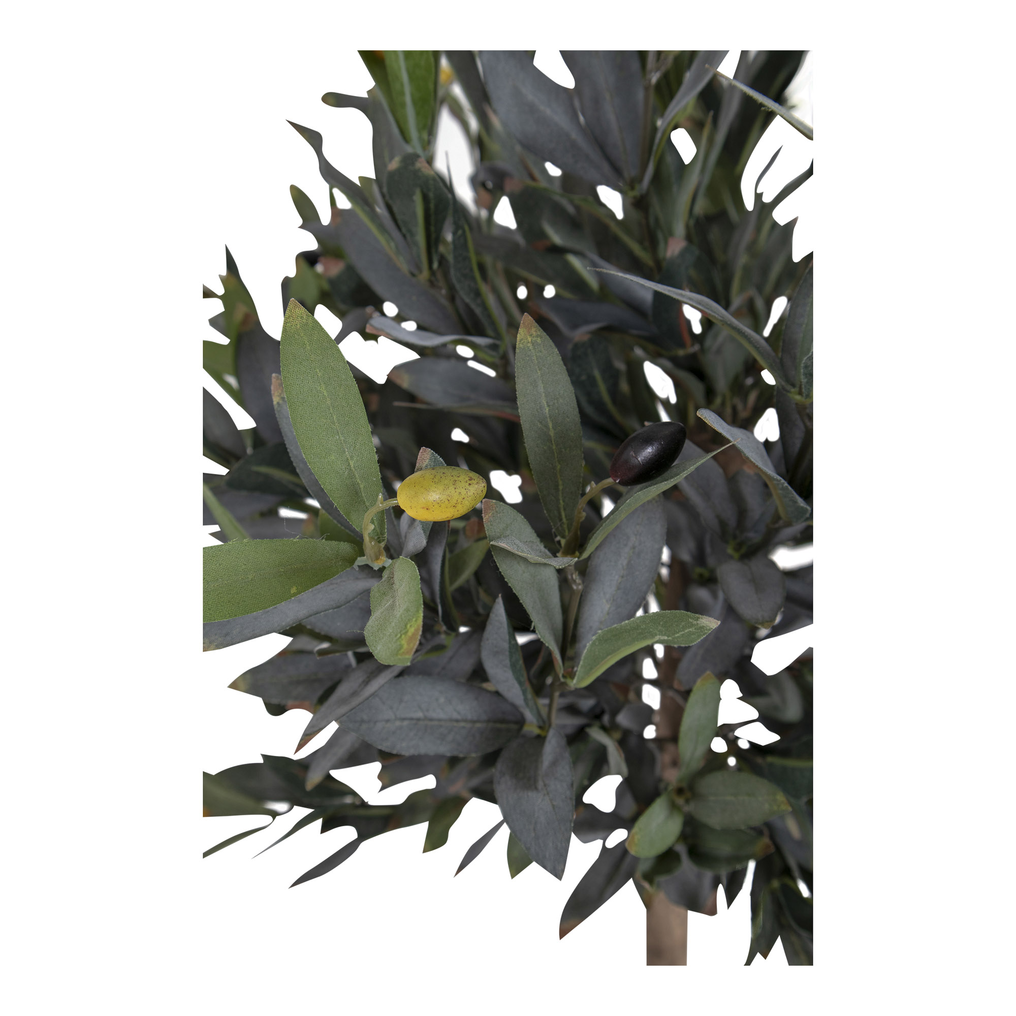 Konstväxt House Nordic Olive