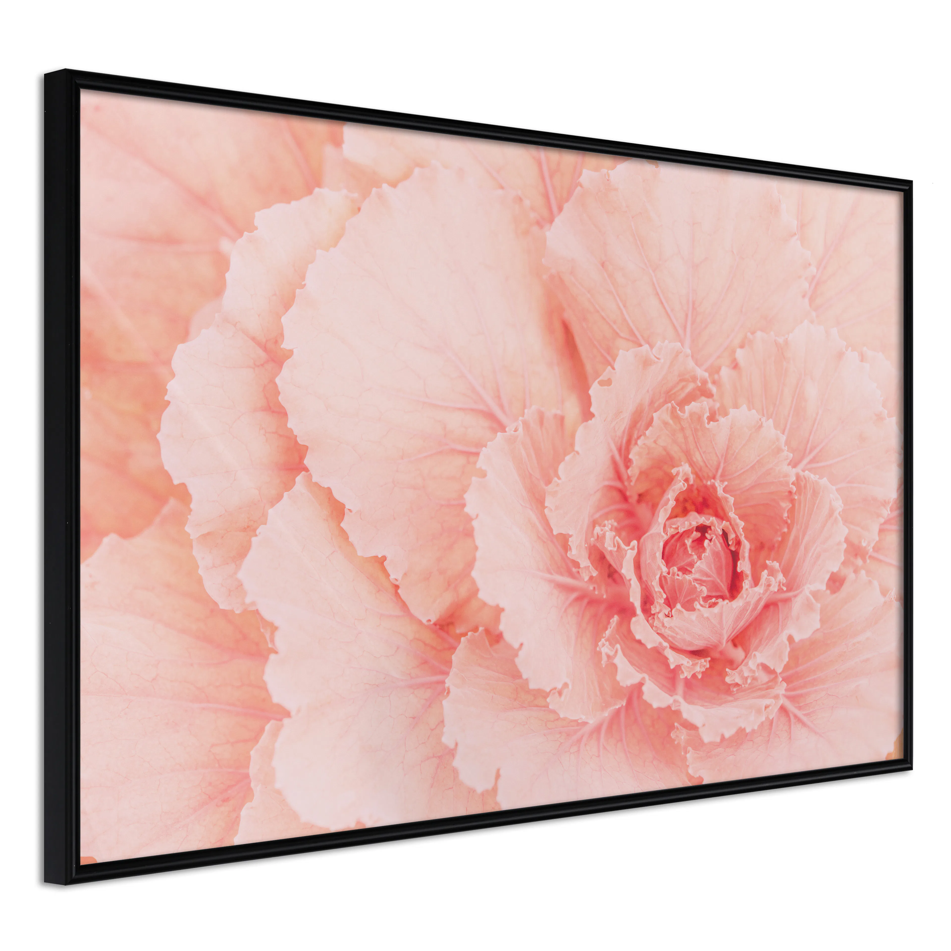 Affisch - Artistry of Delicacy [Poster] 30x20 Svart ram, 30x20 cm
