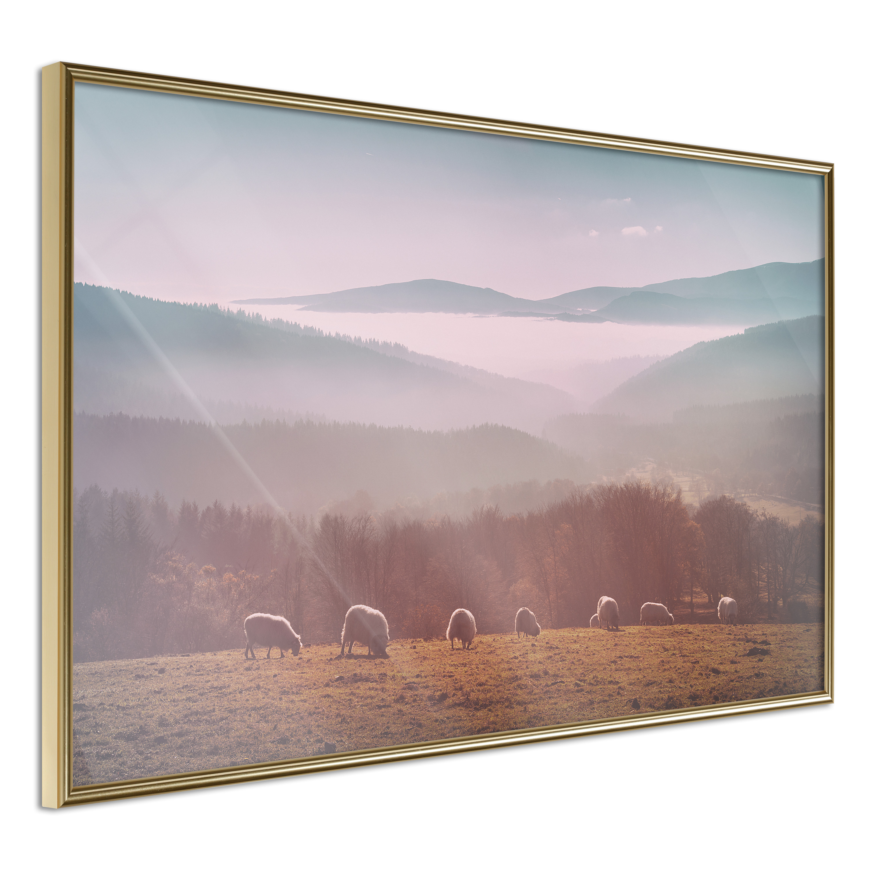 Affisch - Flock of Sheep [Poster] 45x30 Guld ram, 45x30 cm
