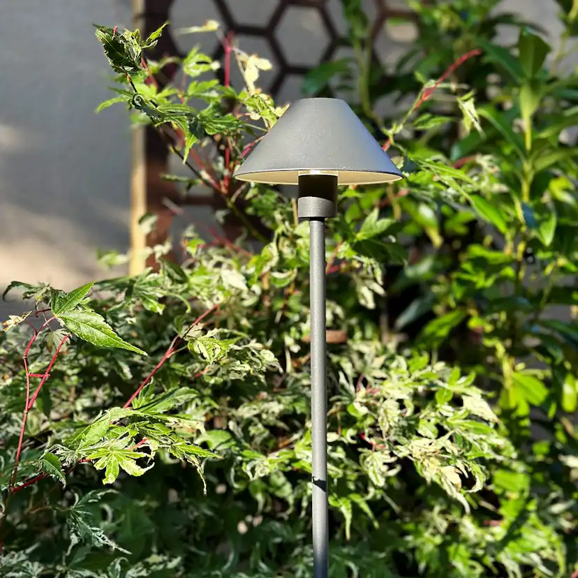 Pollare LightsOn Apollo Flex