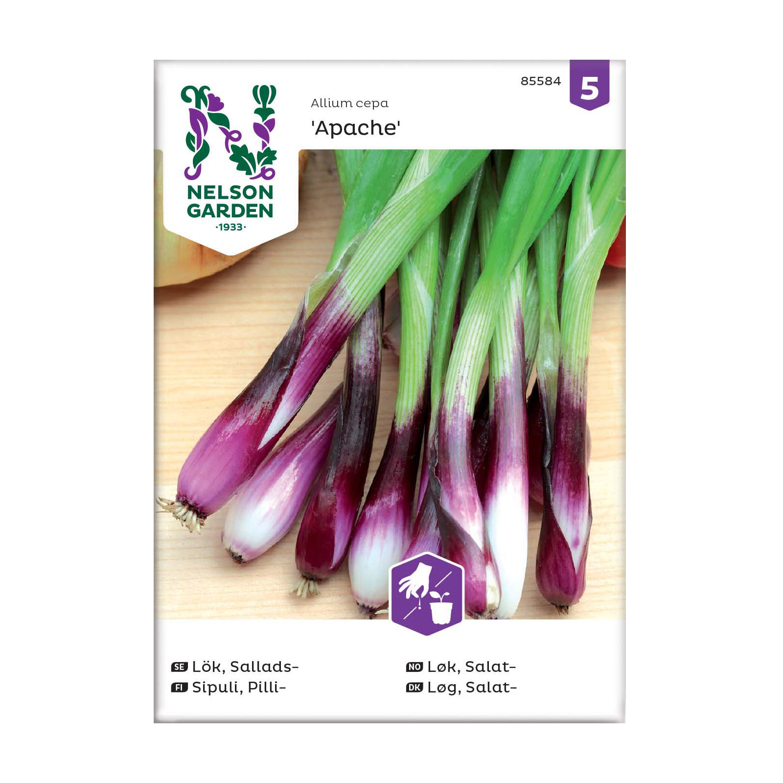 Frö Salladslök Nelson Garden Apache Röd