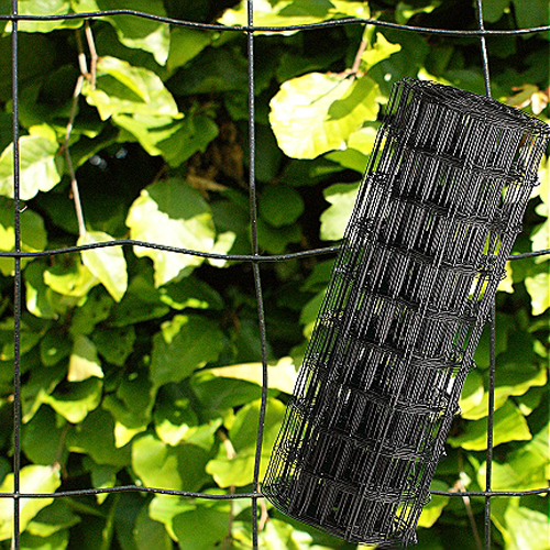 Trädgårdsstängsel NSH Maskstorlek 10 x 10 cm Svart