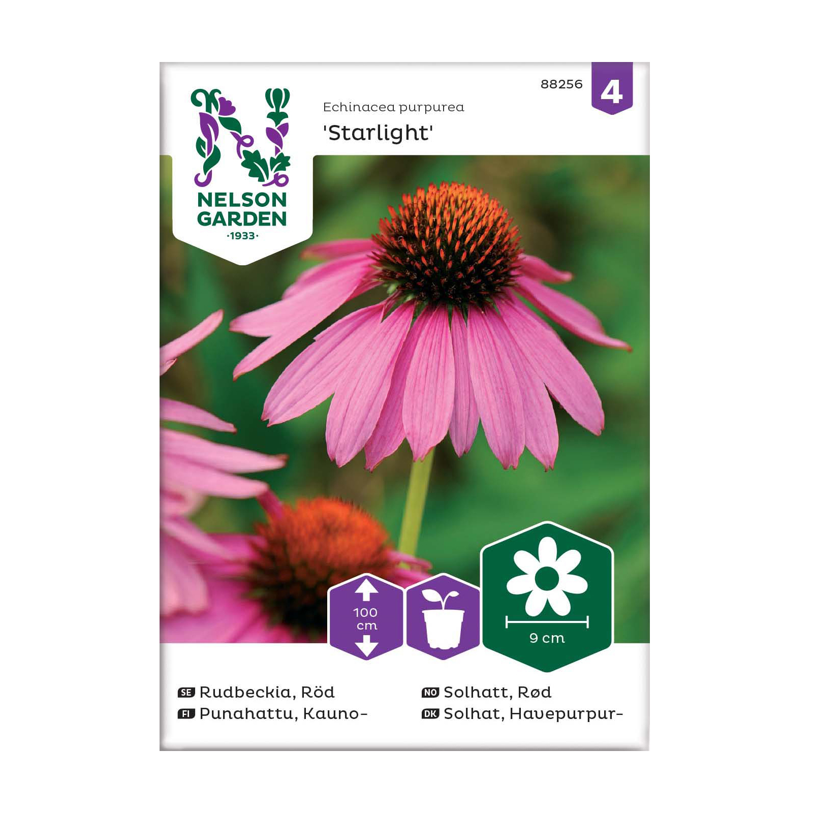 Frö Rudbeckia Nelson Garden Starlight Röd