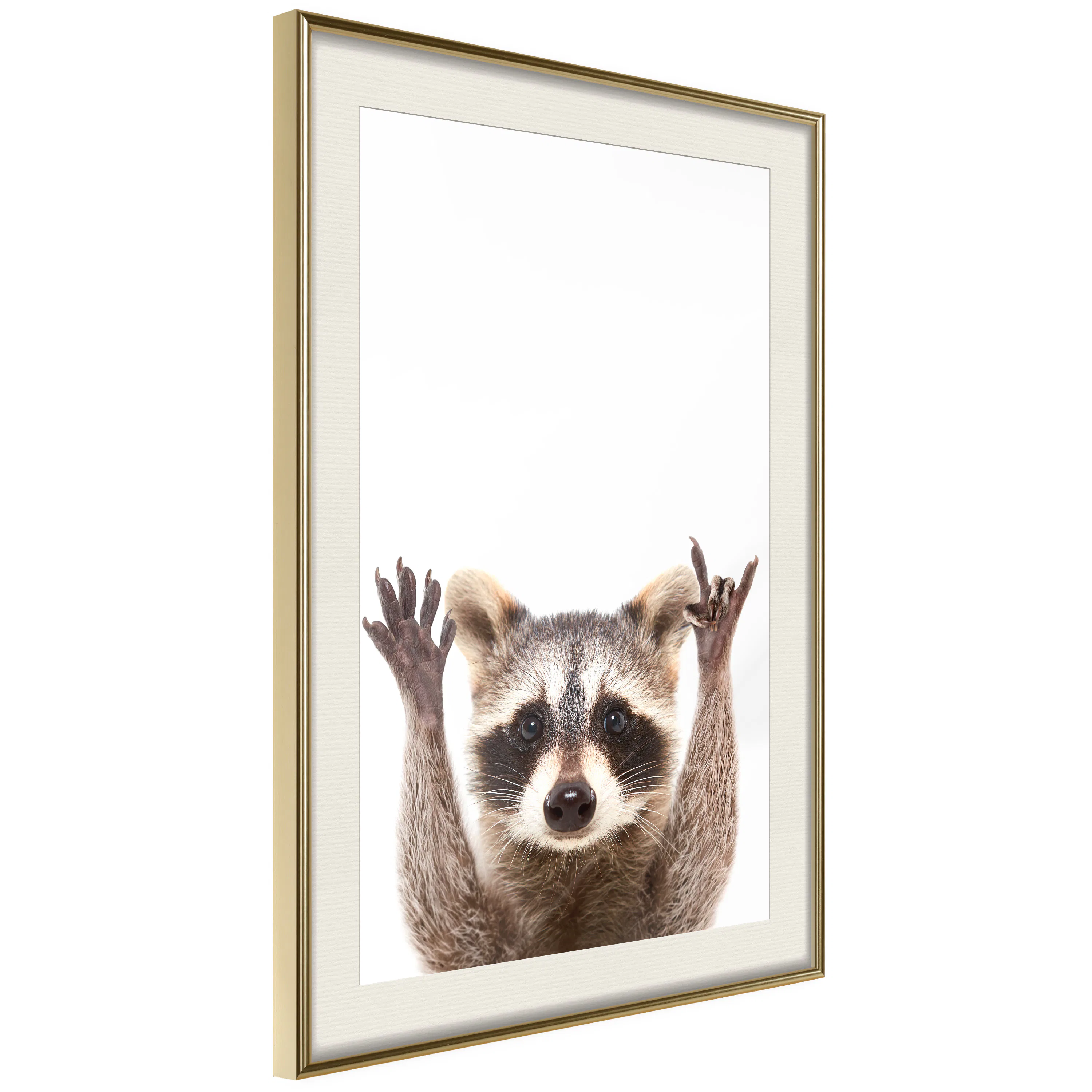 Poster Artgeist Affisch Raccoon