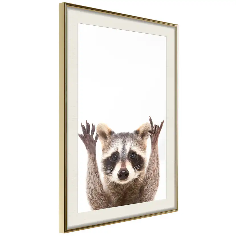 Poster Artgeist Affisch Raccoon