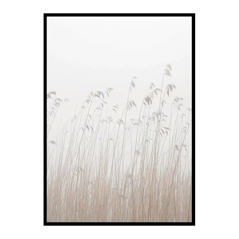 Poster Gallerix Grass In Fog