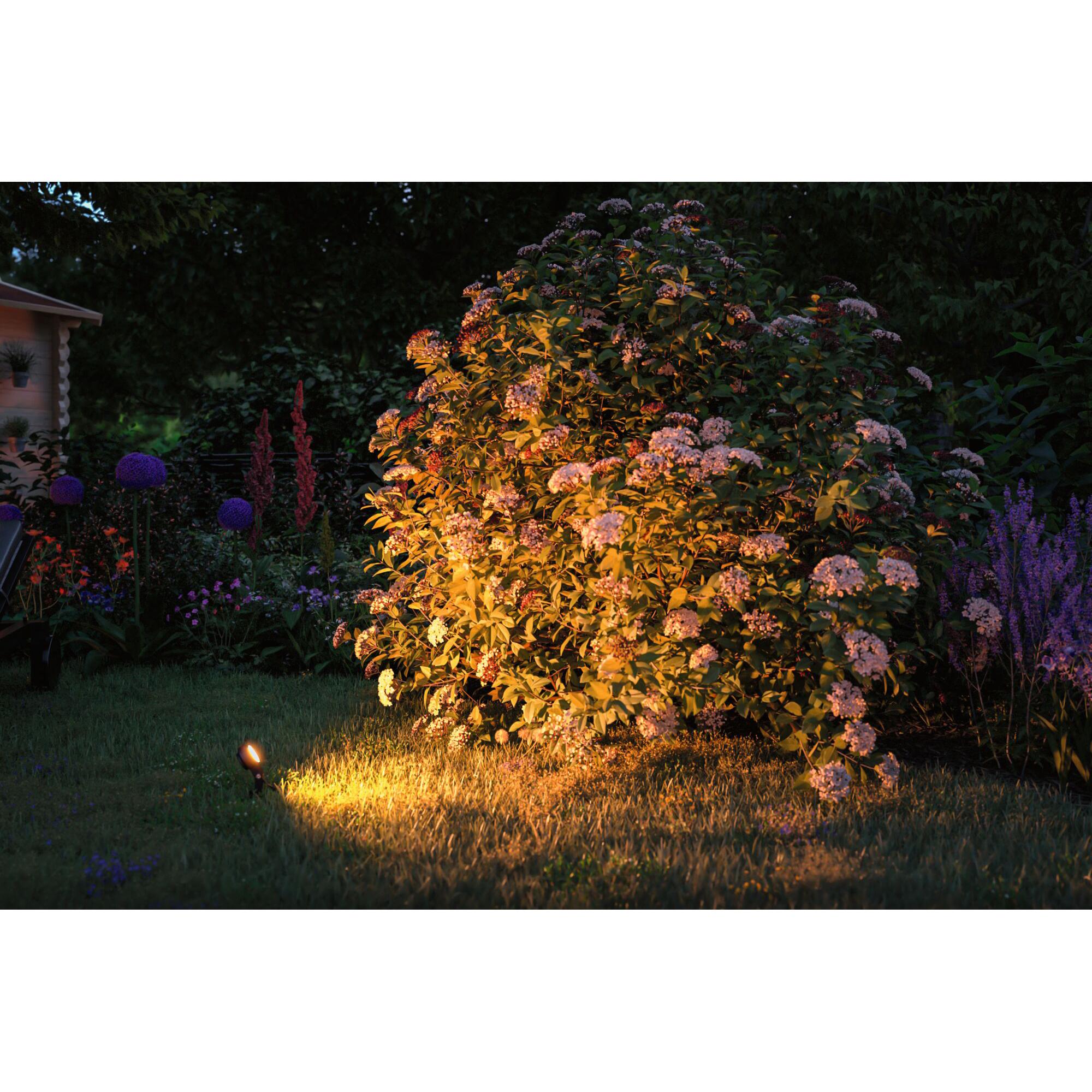 Spotlight Paulmann Sting Plug & Shine LED IP67 24V 3-pack med Kabel och Transformator
