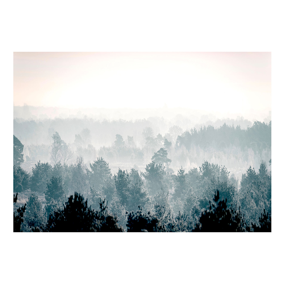 Fototapet Arkiio Winter Forest A3-MFT1571-A