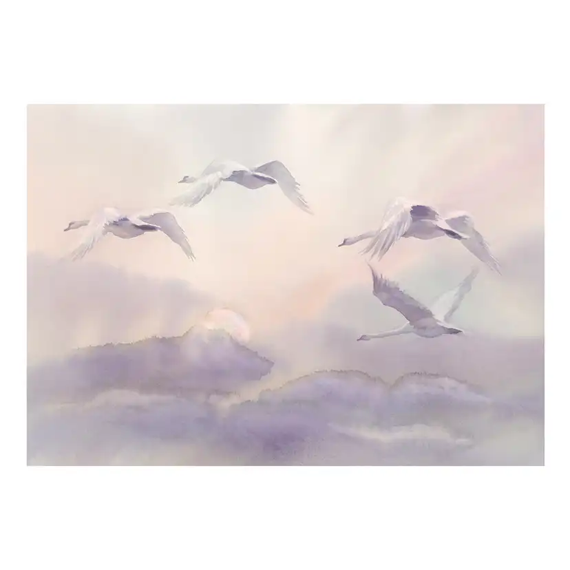 Flying Swans 150x105 Storlek: 150x105 cm