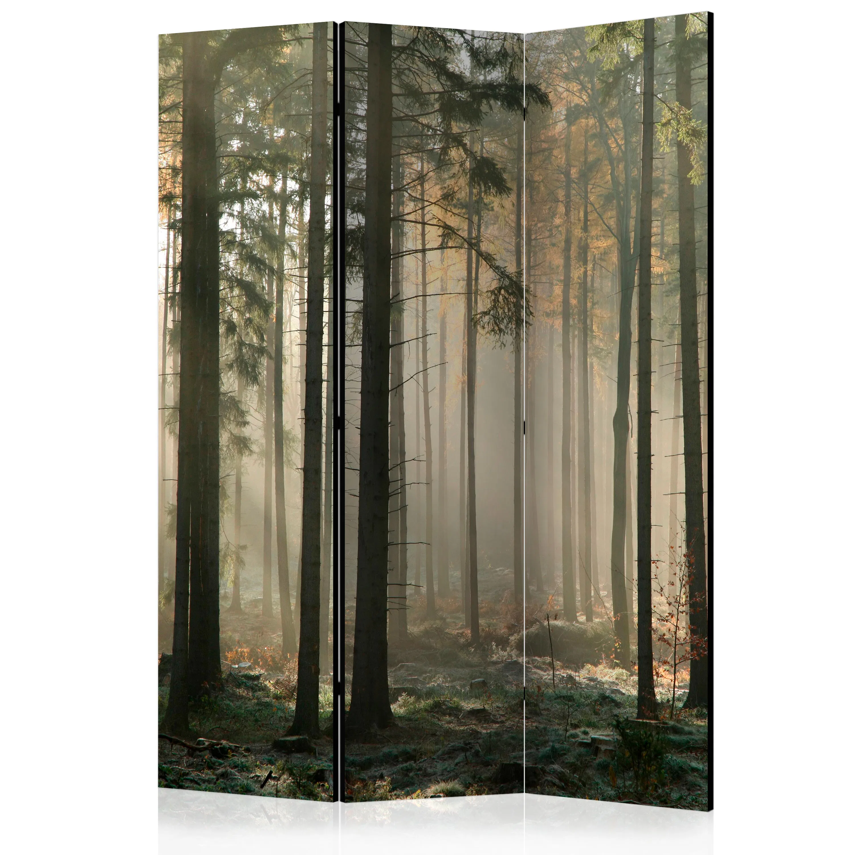Rumsavdelare Skärmvägg Arkiio Foggy November Morning 135x172 cm