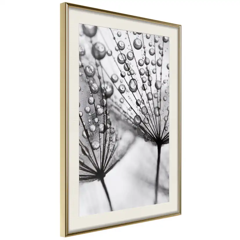 Poster Artgeist Affisch Morning Dew