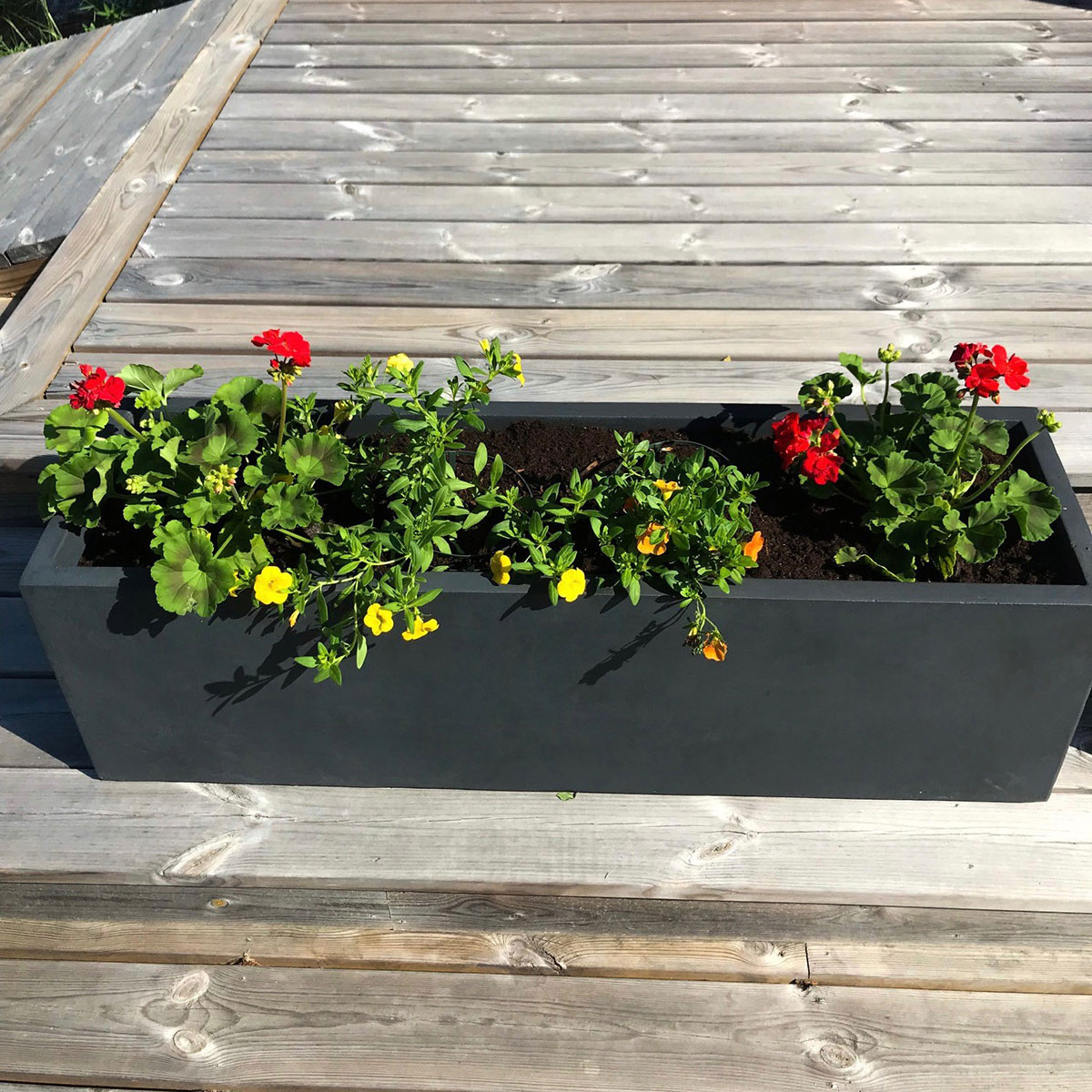 Blomlåda Lyfco Svart 100
