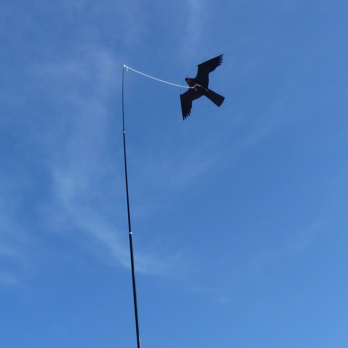 Måsskrämma 1852 5m