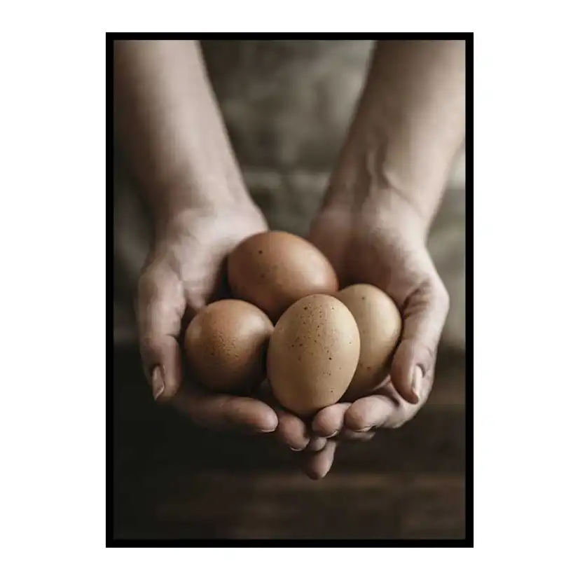 Free Range Eggs 50x70 cm