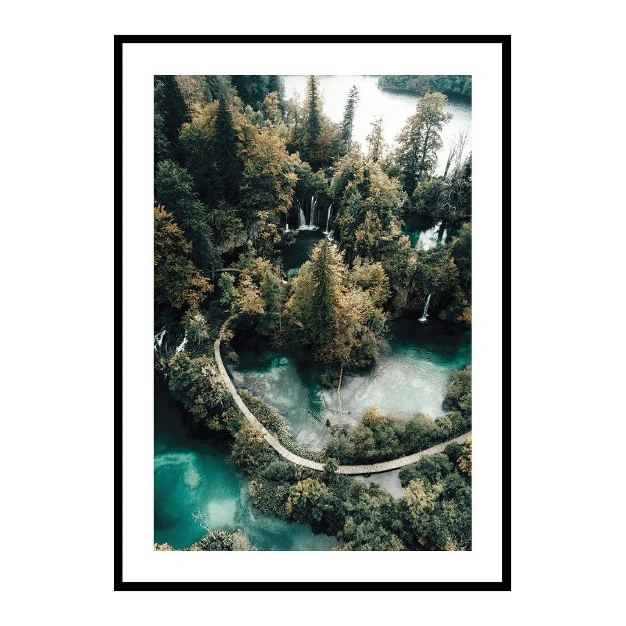 Poster Gallerix Scenic Forest View