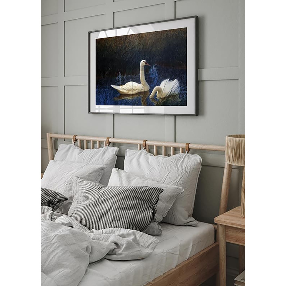 Poster Gallerix Svanar i Vass By Bruno Liljefors