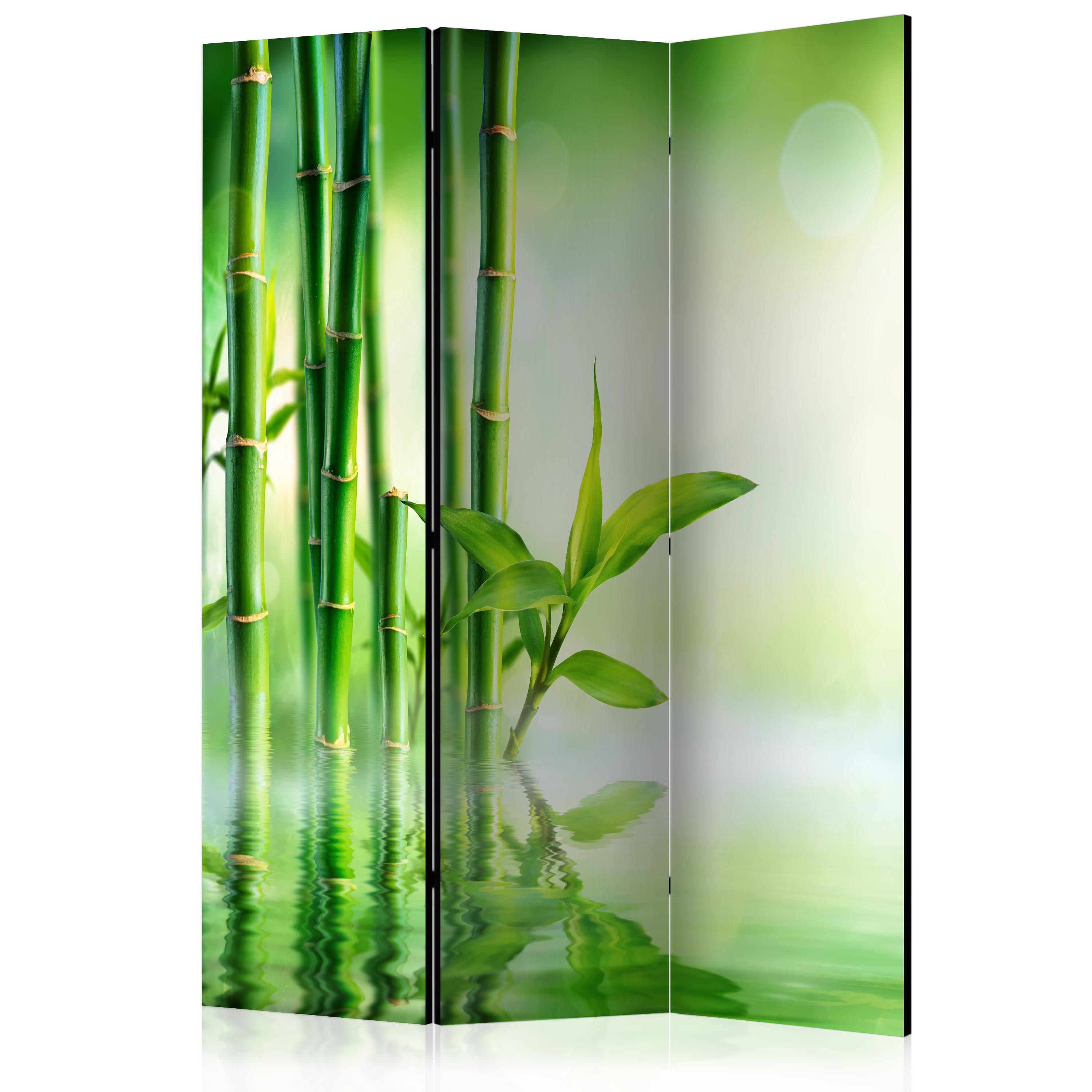Rumsavdelare Skärmvägg Arkiio Green Bamboo 135x172 cm