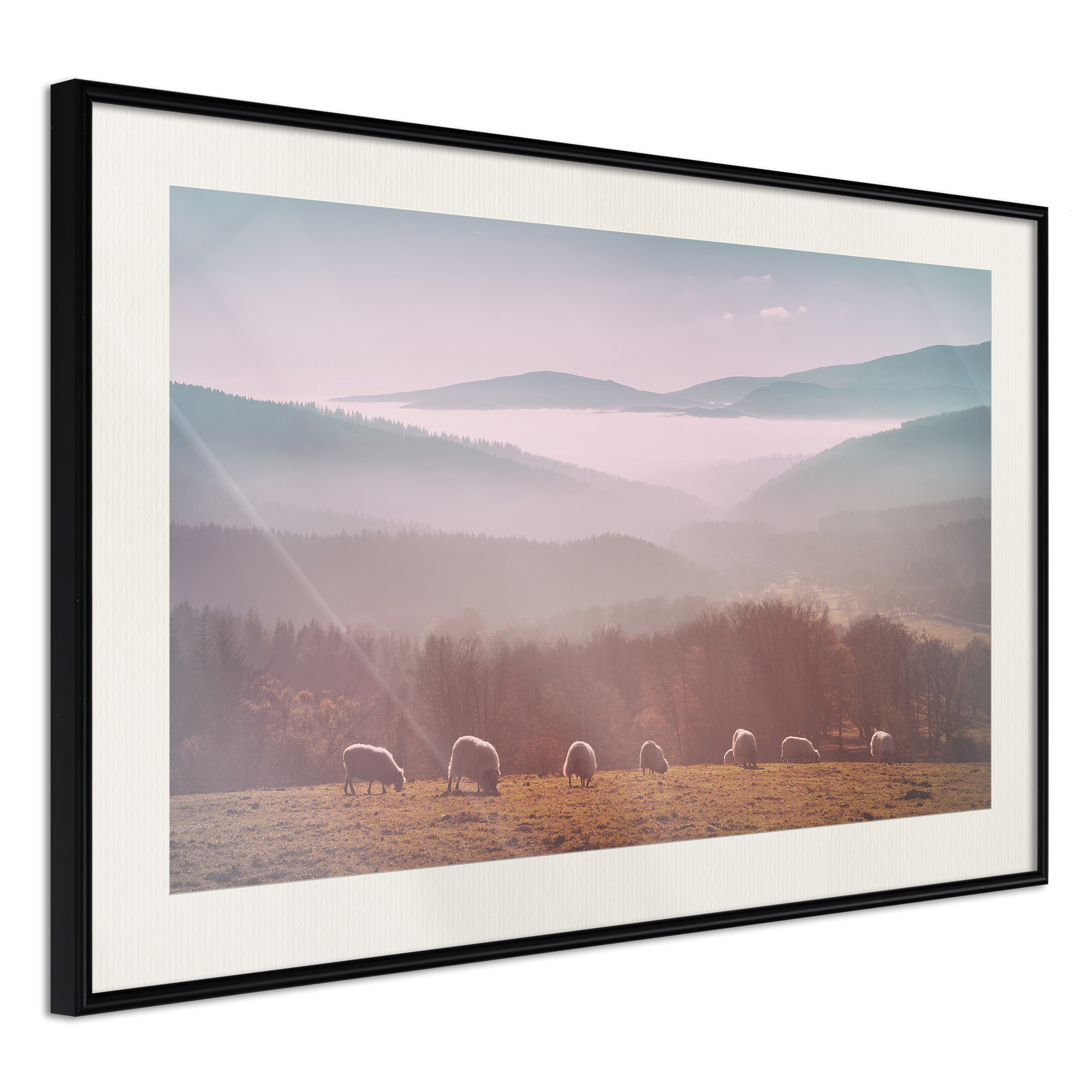 Affisch - Flock of Sheep [Poster] 60x40 Svart ram med passepartout, 60x40 cm