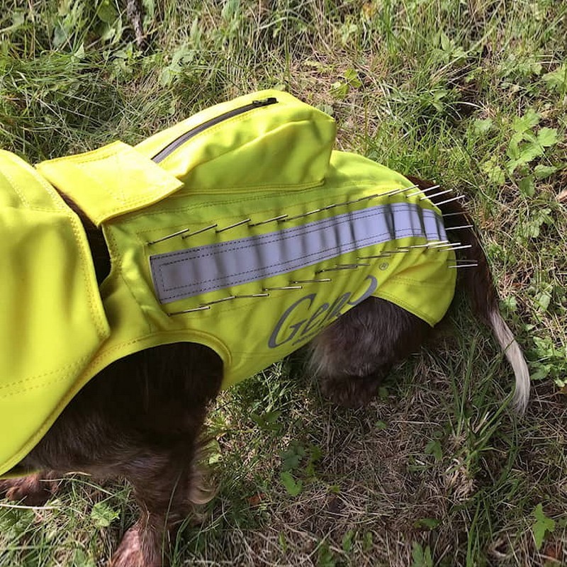 Skyddsväst Genzo Wild Boar för Hund