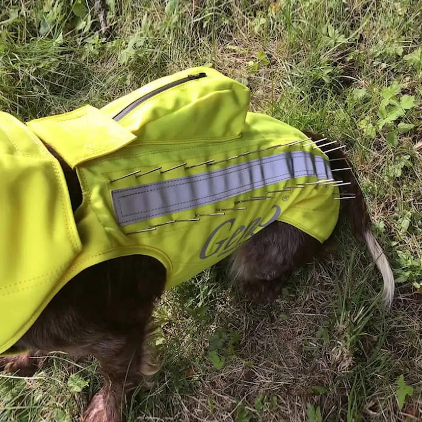 Skyddsväst Genzo Wild Boar för Hund