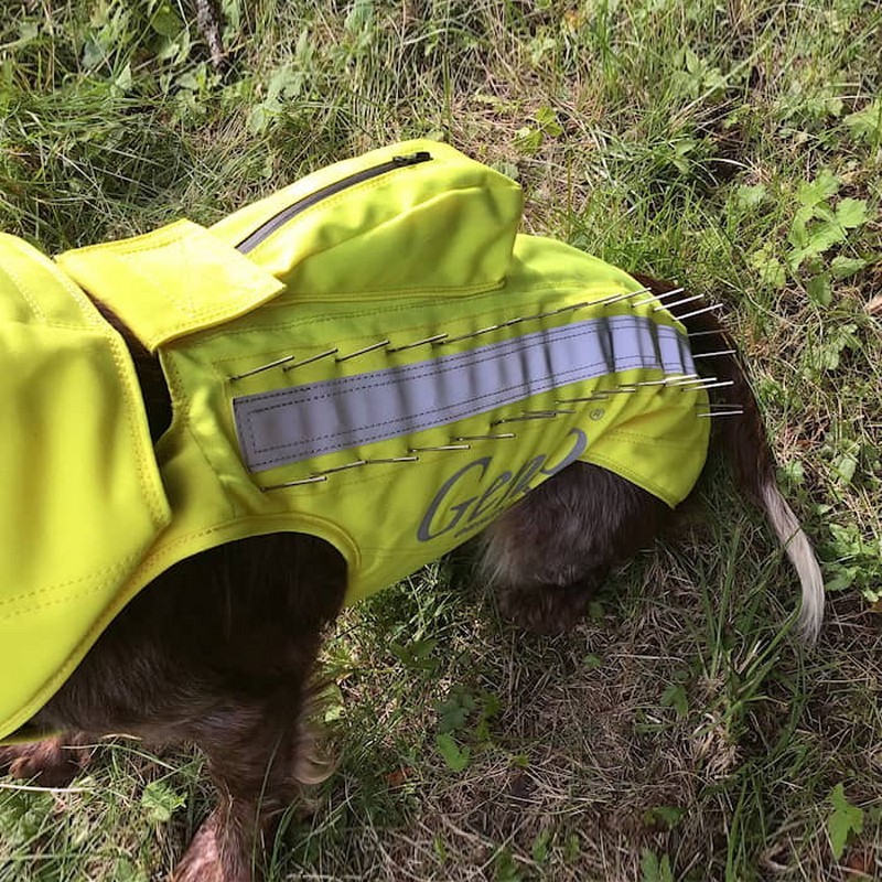 Skyddsväst Genzo Wild Boar för Hund
