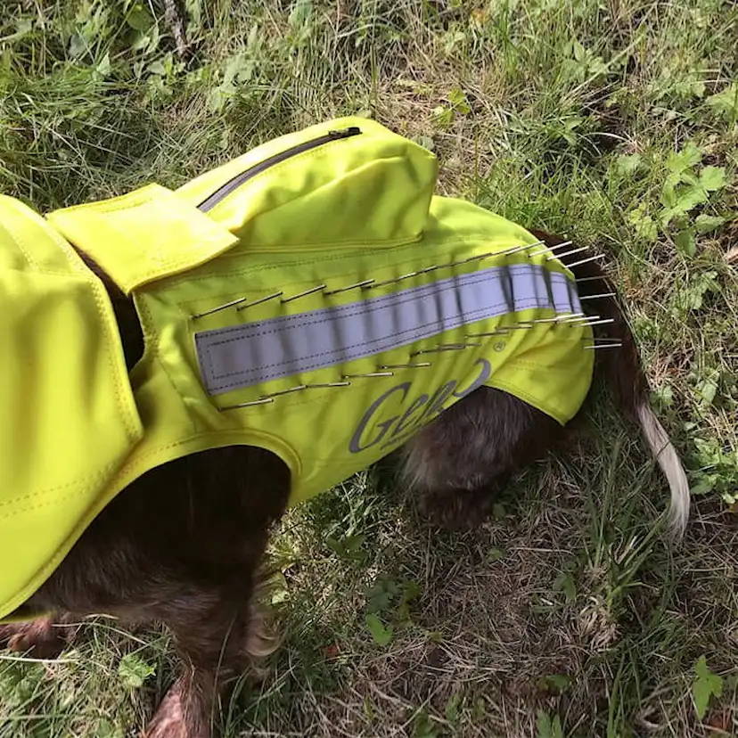 Skyddsväst Genzo Wild Boar för Hund