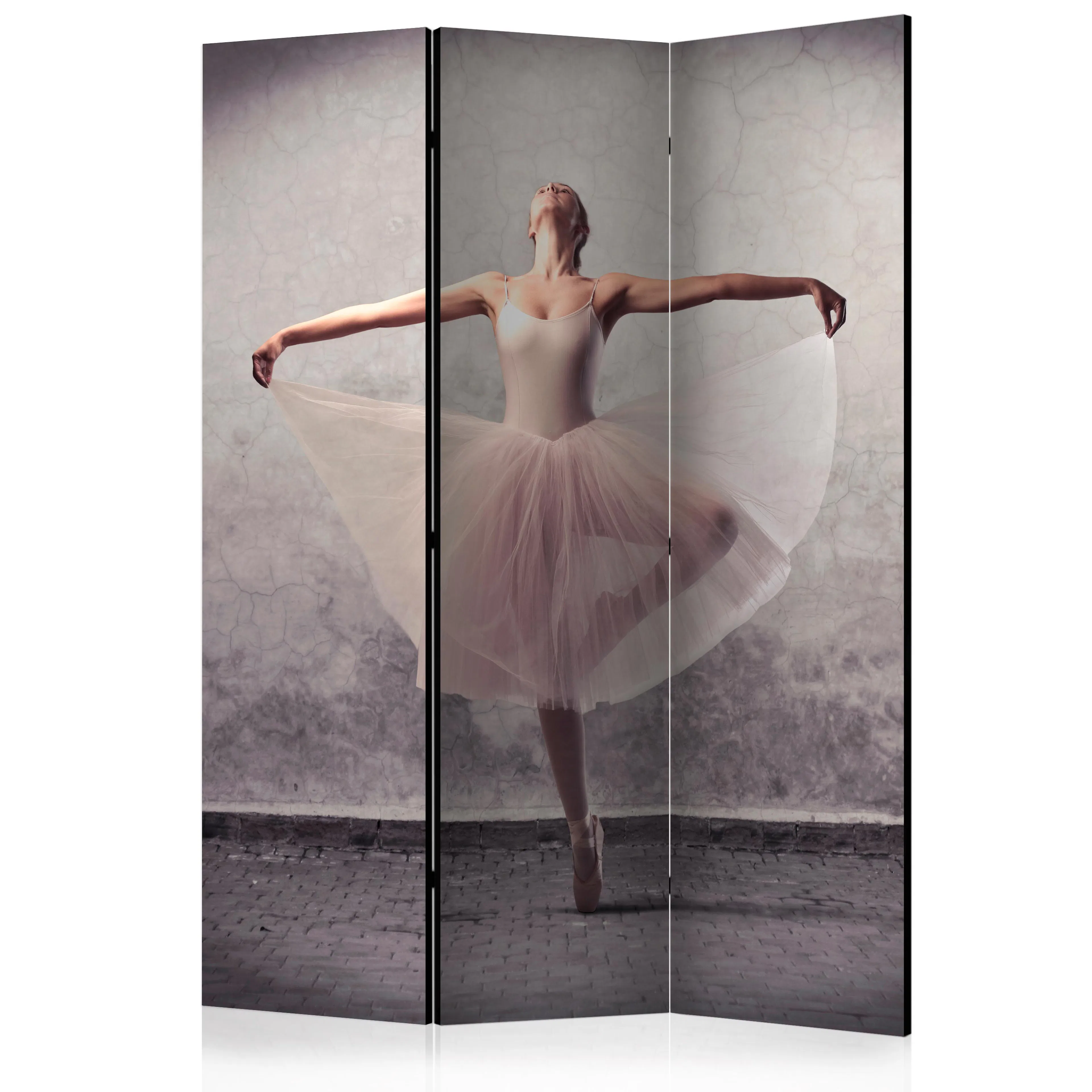Rumsavdelare Skärmvägg Arkiio Classical Dance Poetry Without Words 135x172 cm