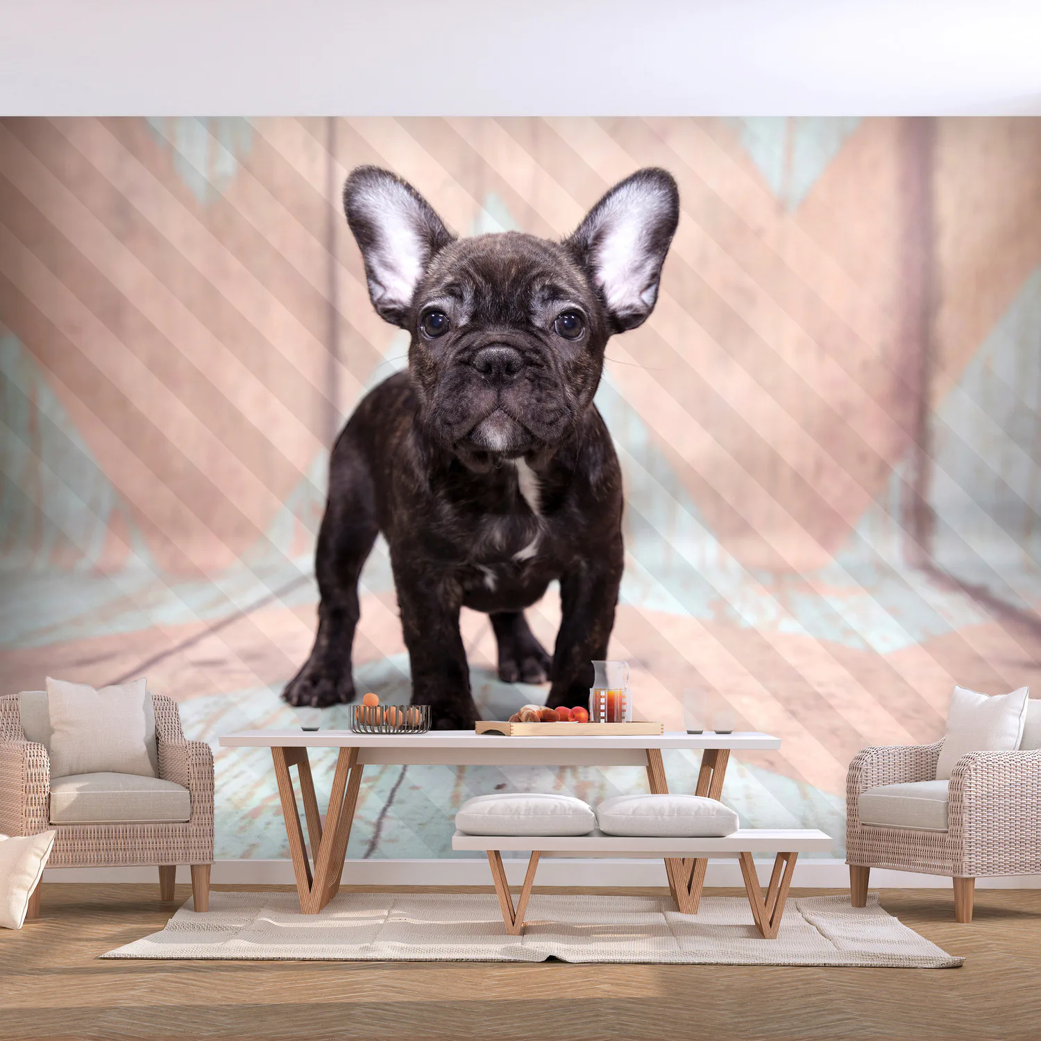 Fototapet - French Bulldog 300x210 300x210 cm