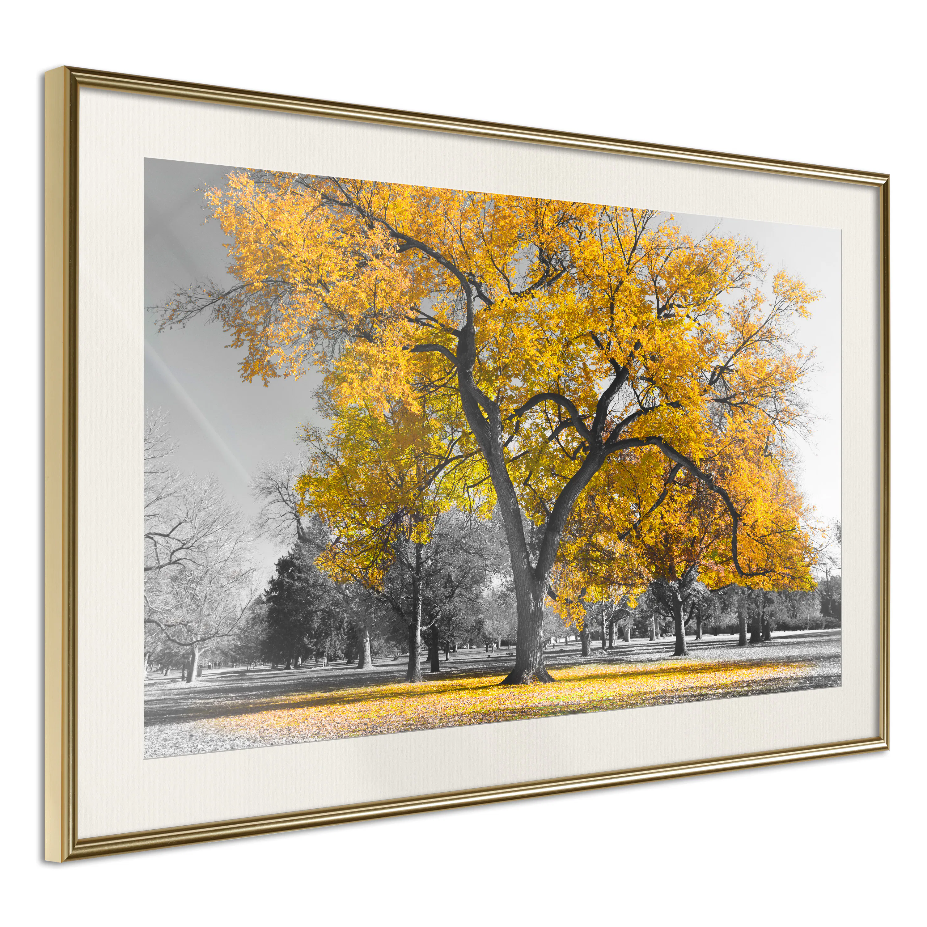 Poster Artgeist Affisch Autumn in the Park Gold
