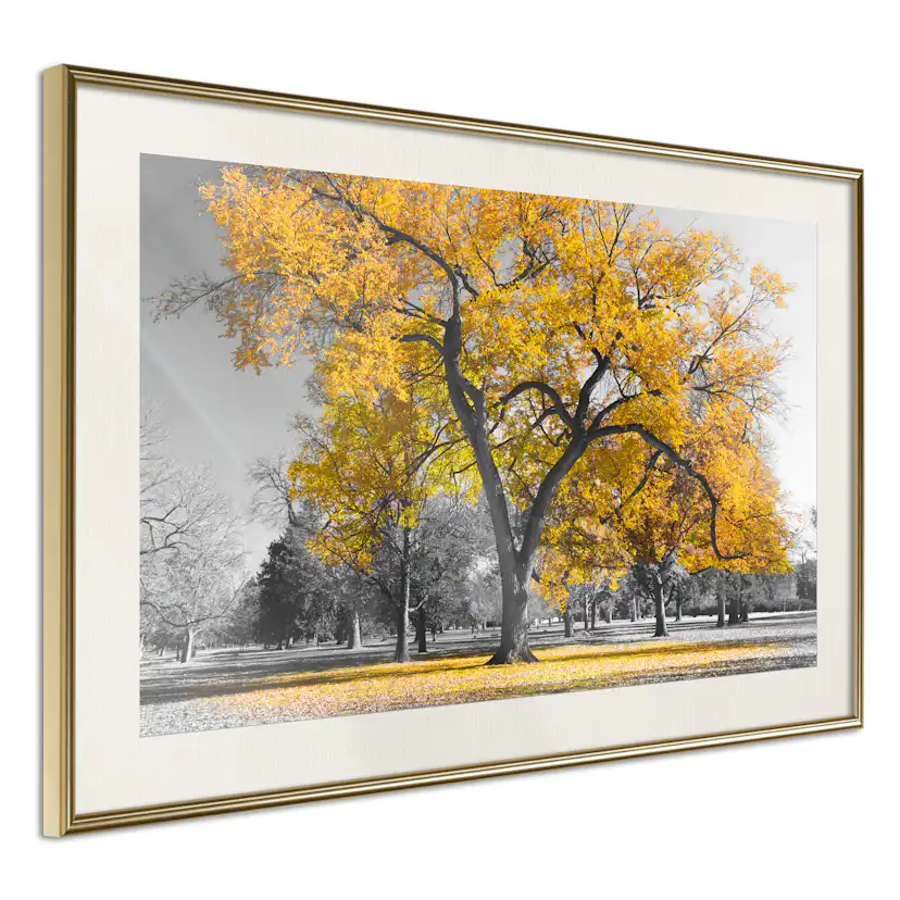 Poster Artgeist Affisch Autumn in the Park Gold