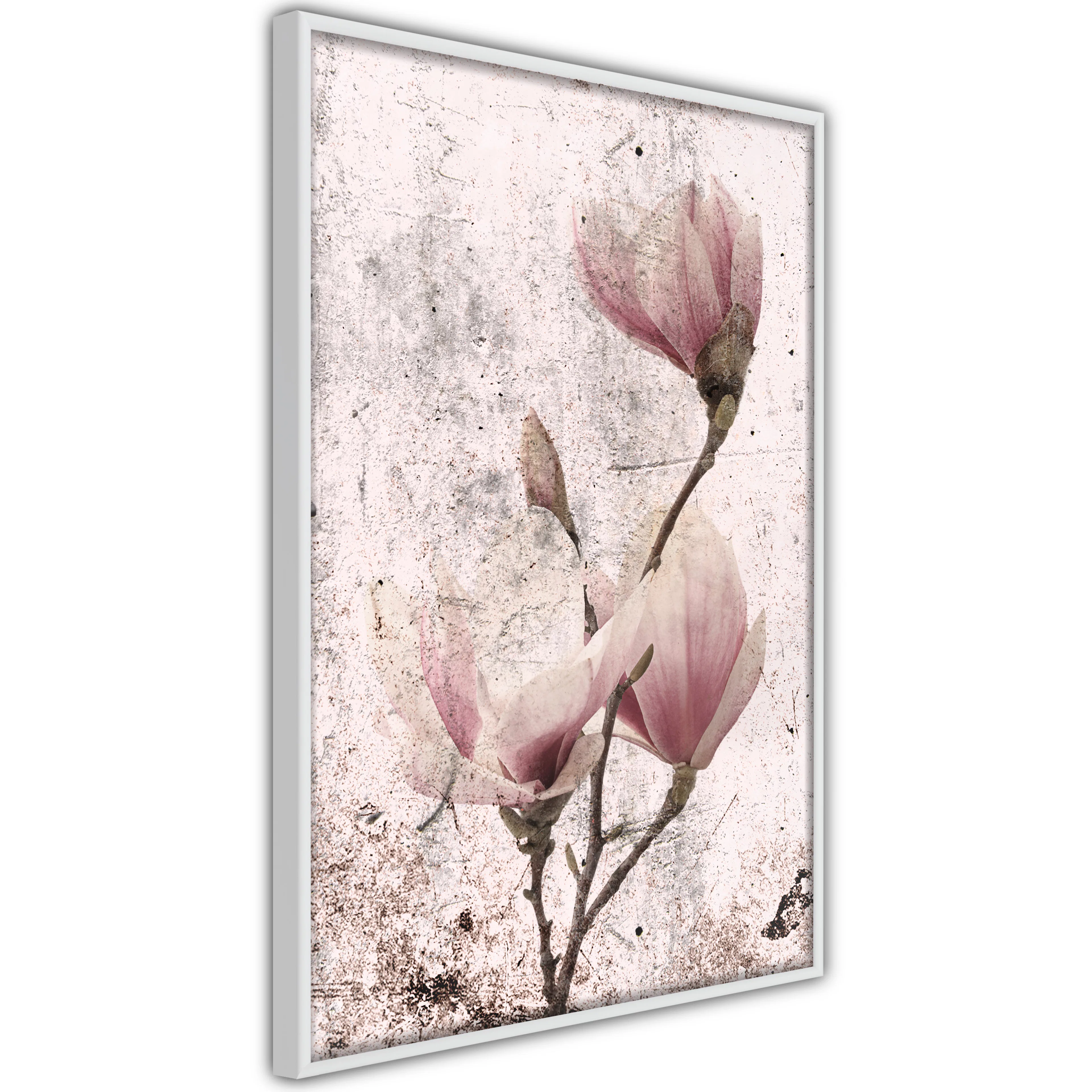 Poster Artgeist Affisch Mature Magnolia