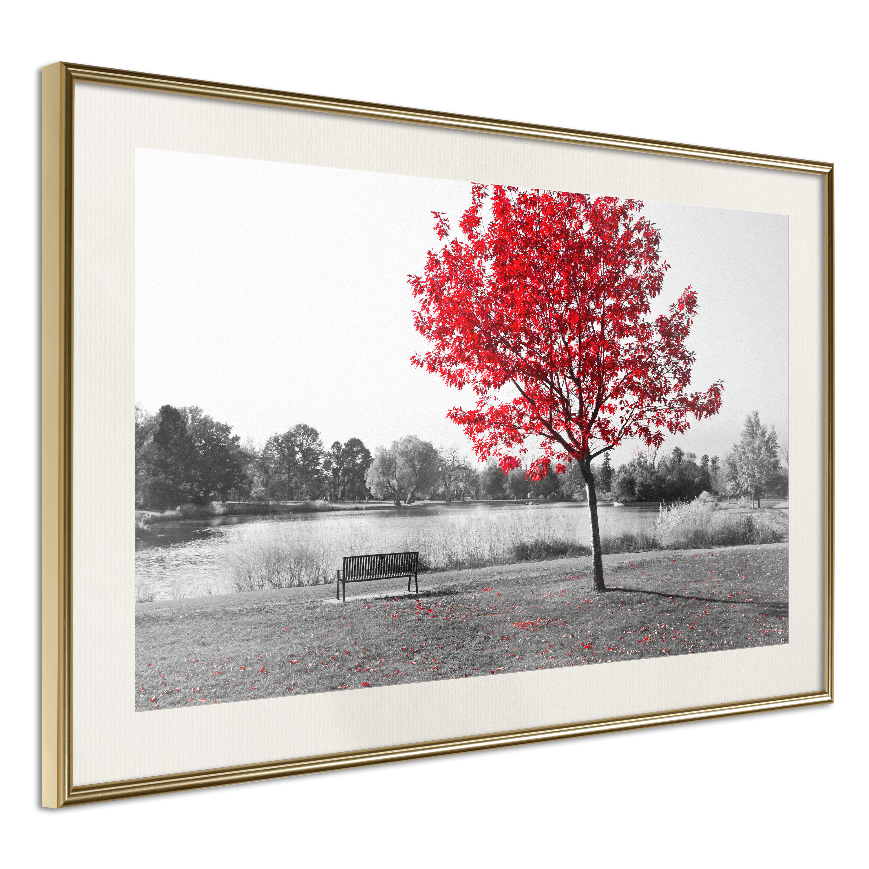 Affisch - Red Tree [Poster] 60x40 Guld ram med passepartout, 60x40 cm
