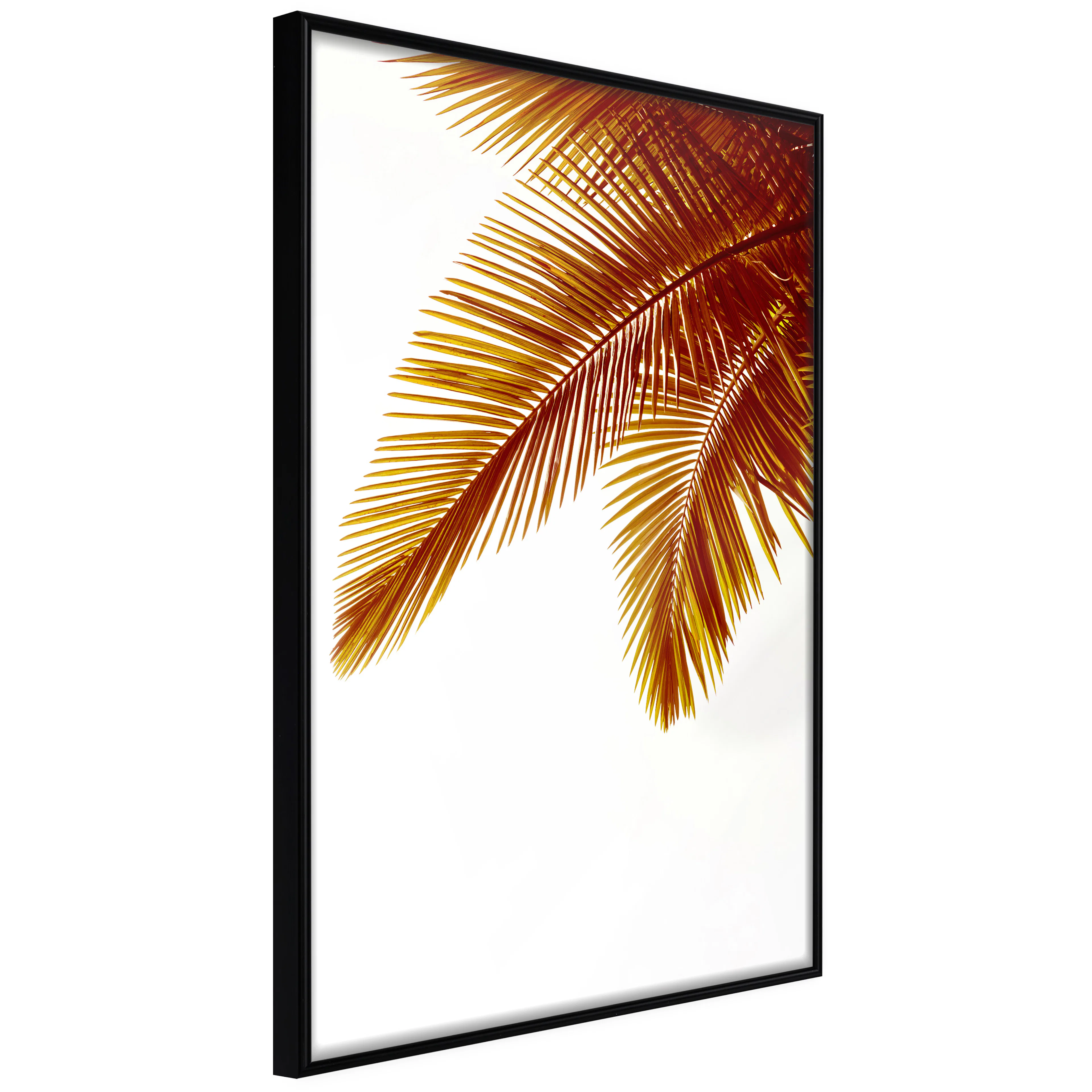 Affisch - Goldilocks [Poster] 30x45 Svart ram, 30x45 cm