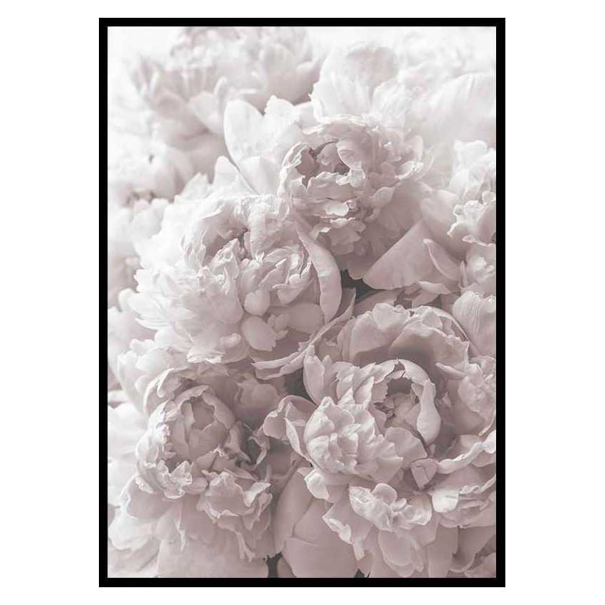 Poster Gallerix Bright Pink Roses No2