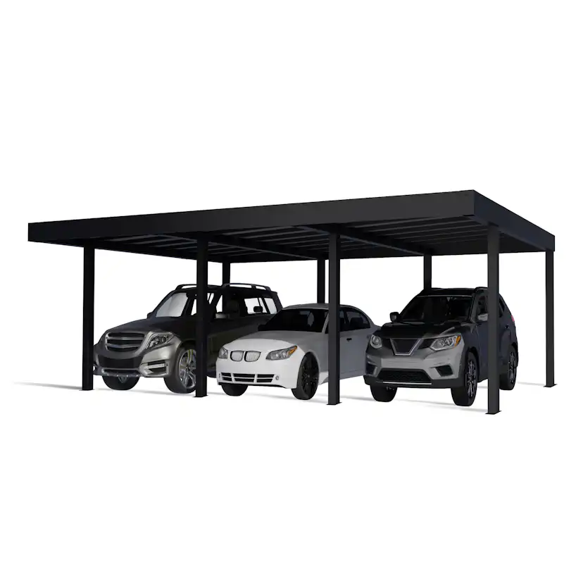 Carport Canopia by Palram Oslo 596,5x901 cm