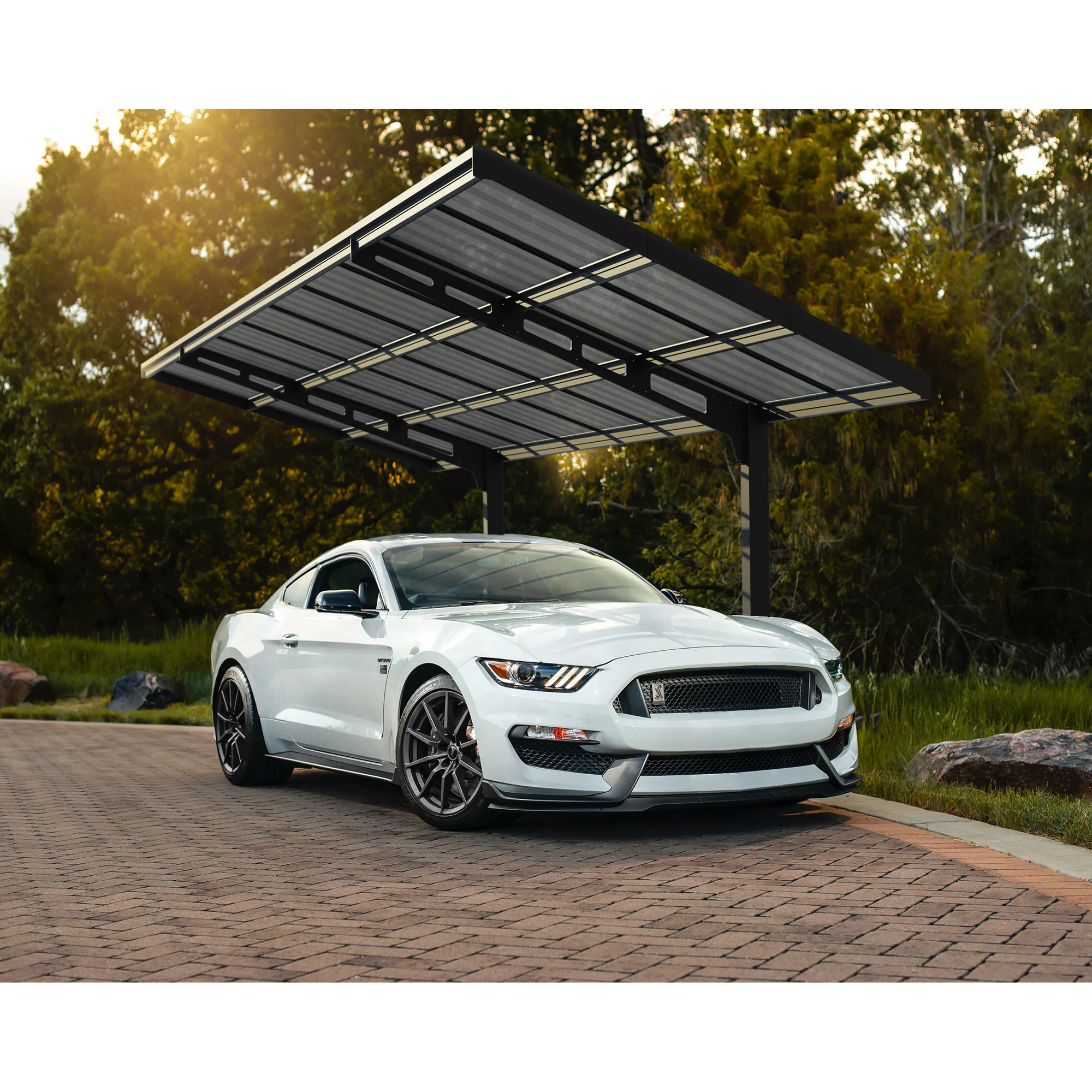 Carport Canopia by Palram Sydney Wave 3X6 m Svart i Metall