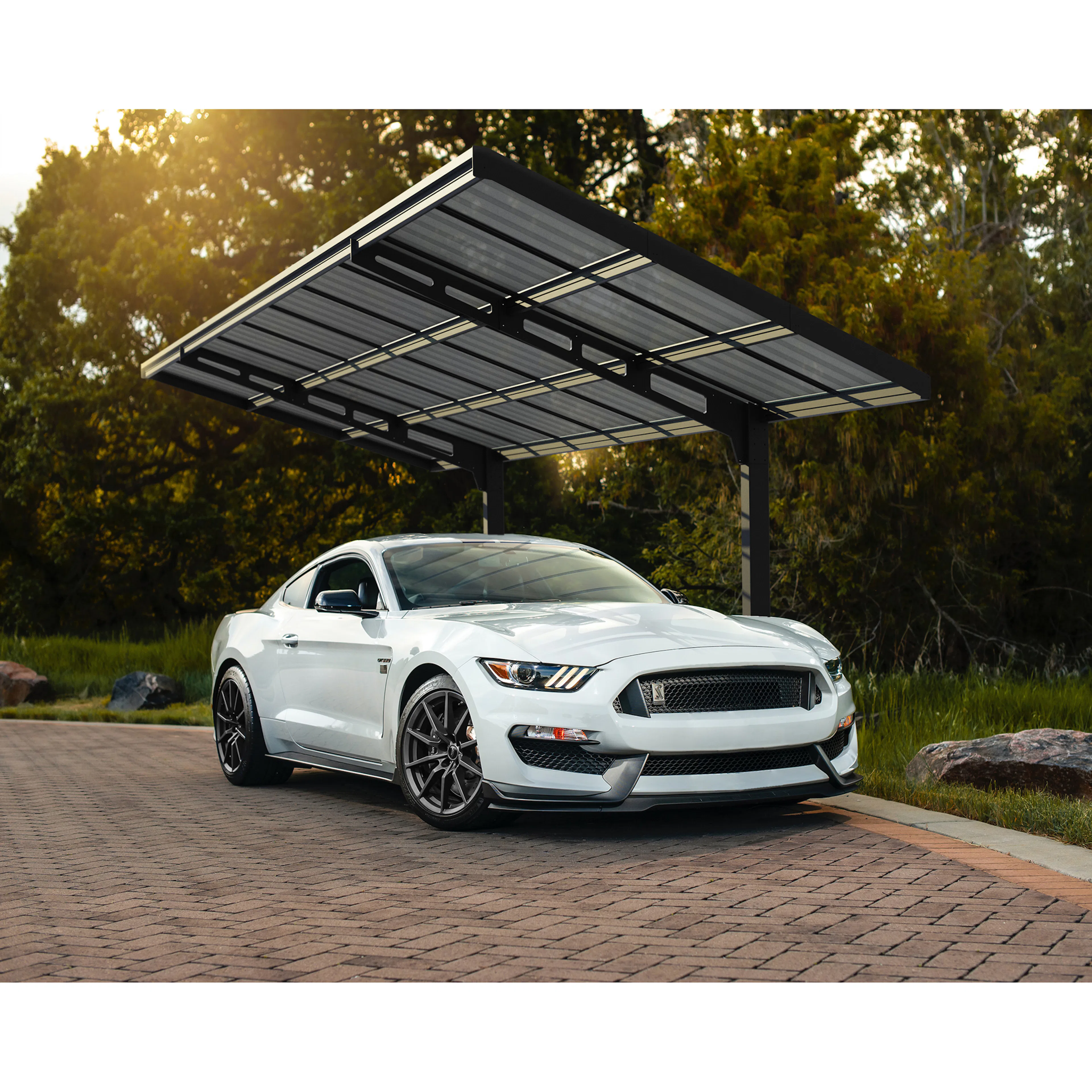 Carport Canopia by Palram Sydney Wave 3X6 m Svart i Metall