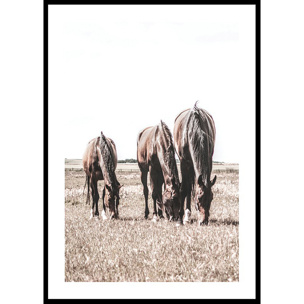 Poster Gallerix Three Brown Horses