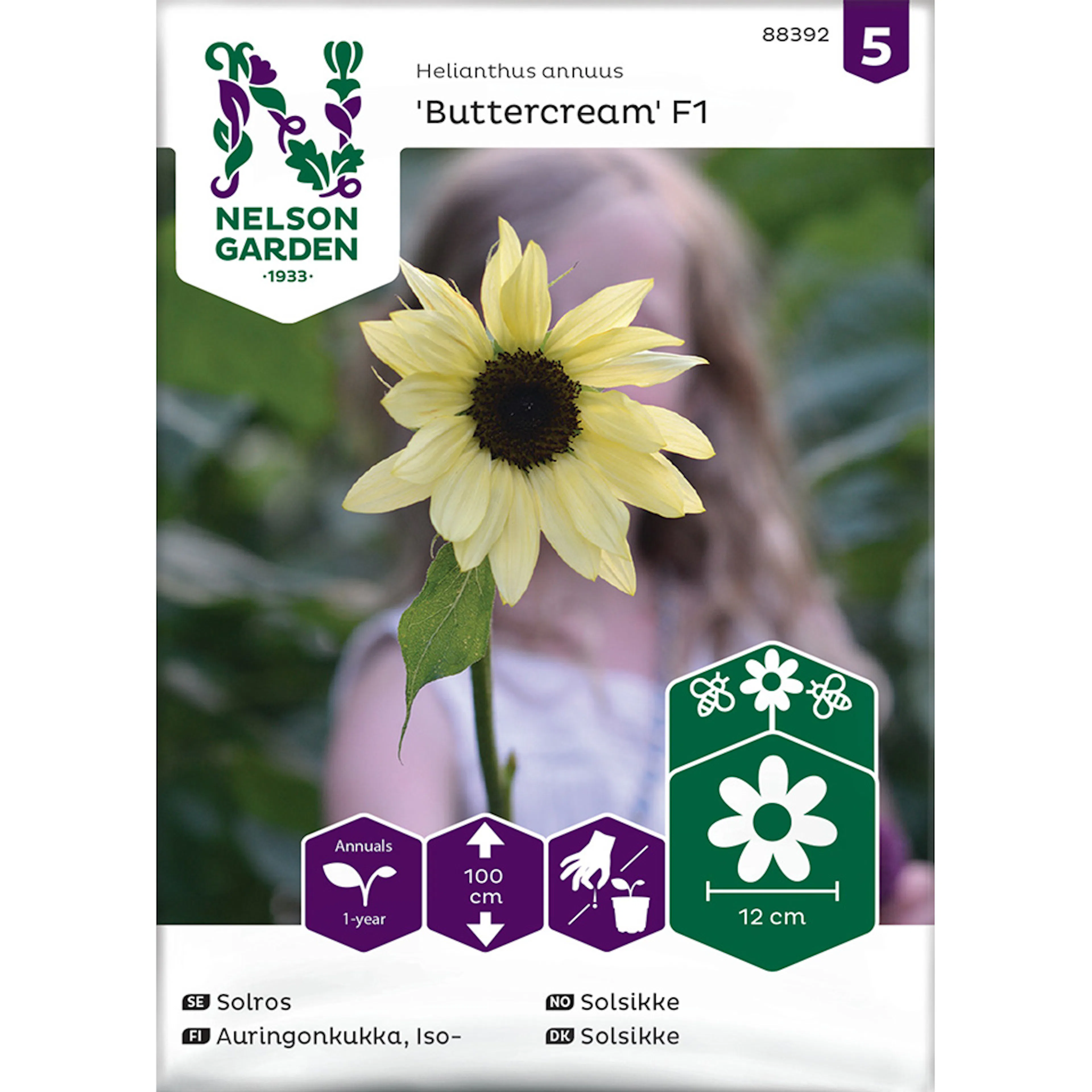 Solros Nelson Garden Buttercream F1