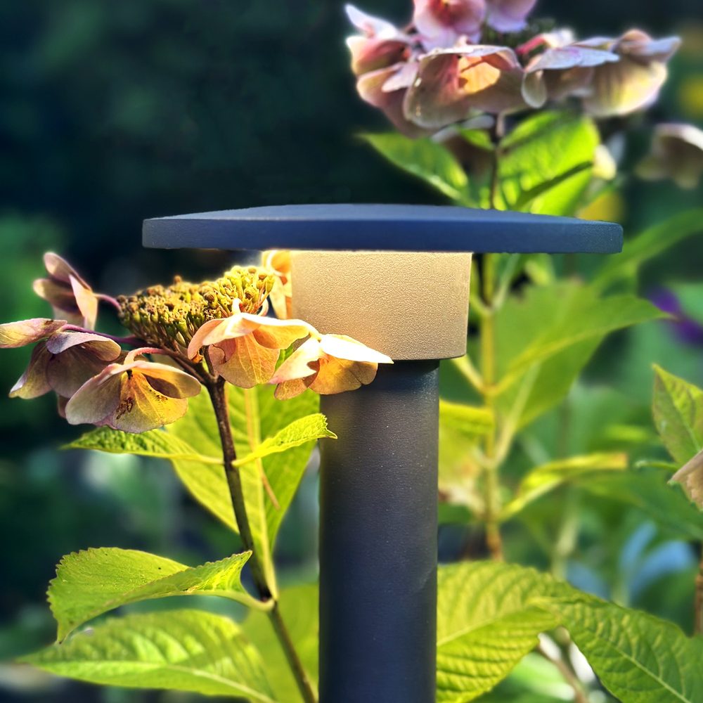 Pollare LightsOn Orbit 65
