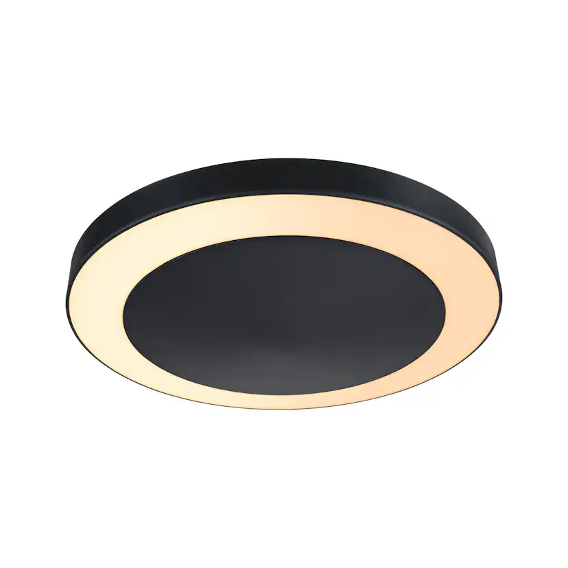 Taklampa LED Paulmann Smart Home Zigbee 3.0 Circula med Skymningsstyrd rörelsedetektor IP44 230V Färg: Antracit