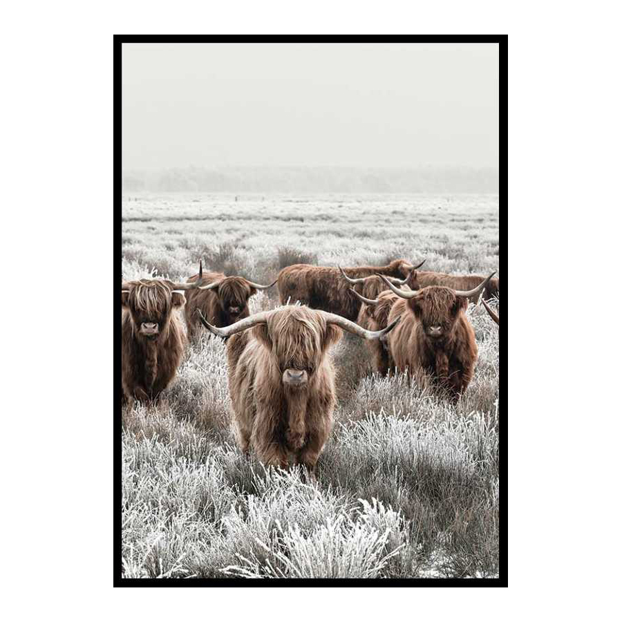 Poster Gallerix Scottish Highlanders