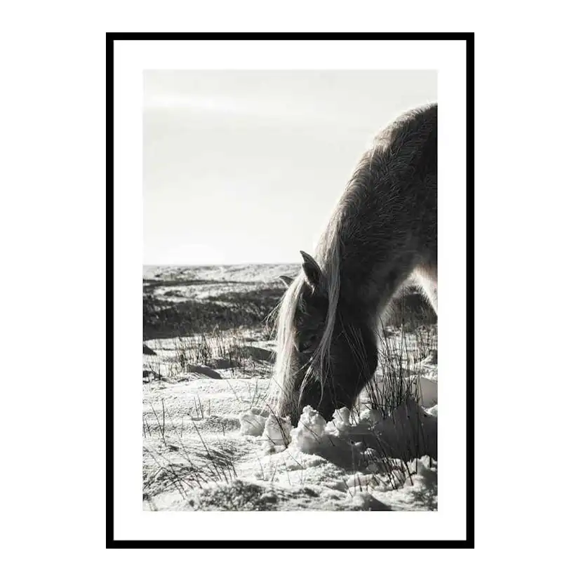 Poster Gallerix Winter Horse