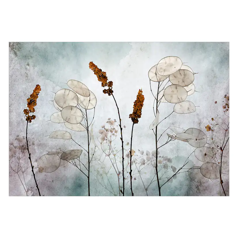 Fototapet Arkiio Lunaria in the Meadow