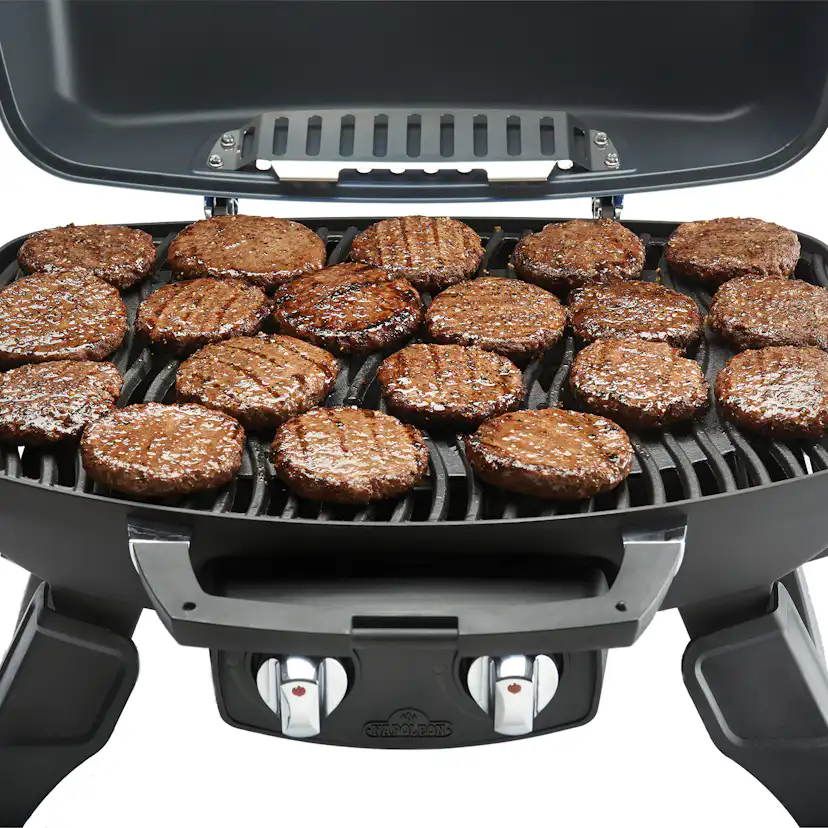 Gasolgrill Napoleon TQ285-1 Bärbar Grill i Rostfritt Stål & Gjutjärnsgaller
