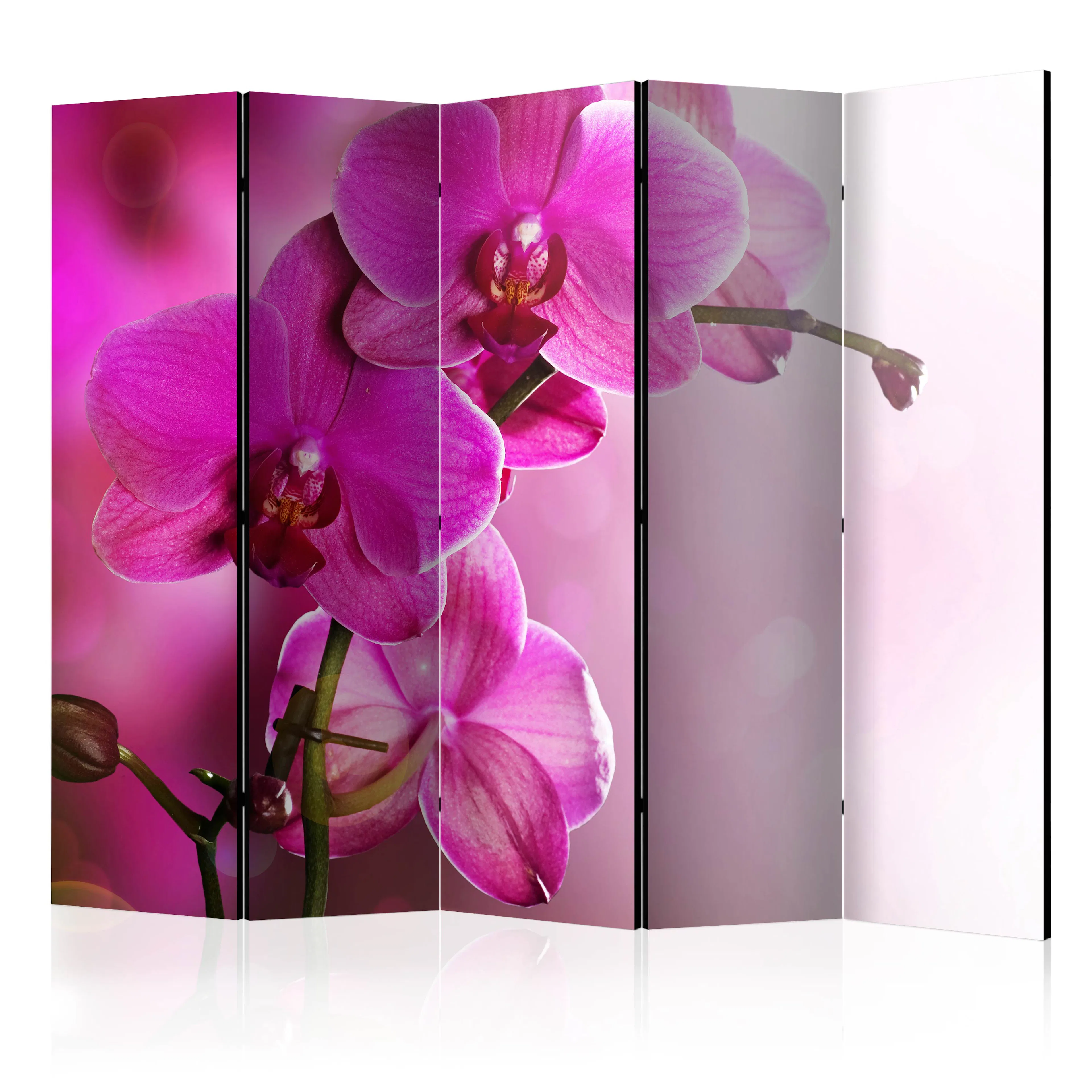 Rumsavdelare Skärmvägg Arkiio Pink Orchid II 225x172 cm